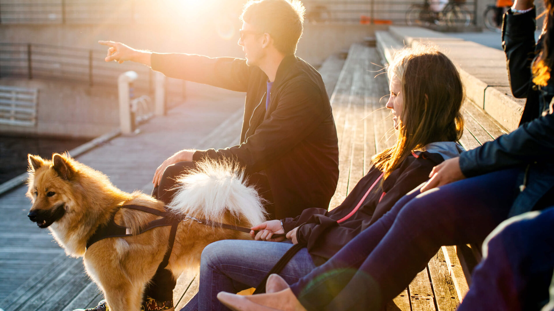 Activities & Events 3